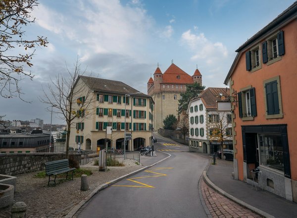 Comment la consommation de chardon-marie peut-elle soutenir la santé hépatique ?